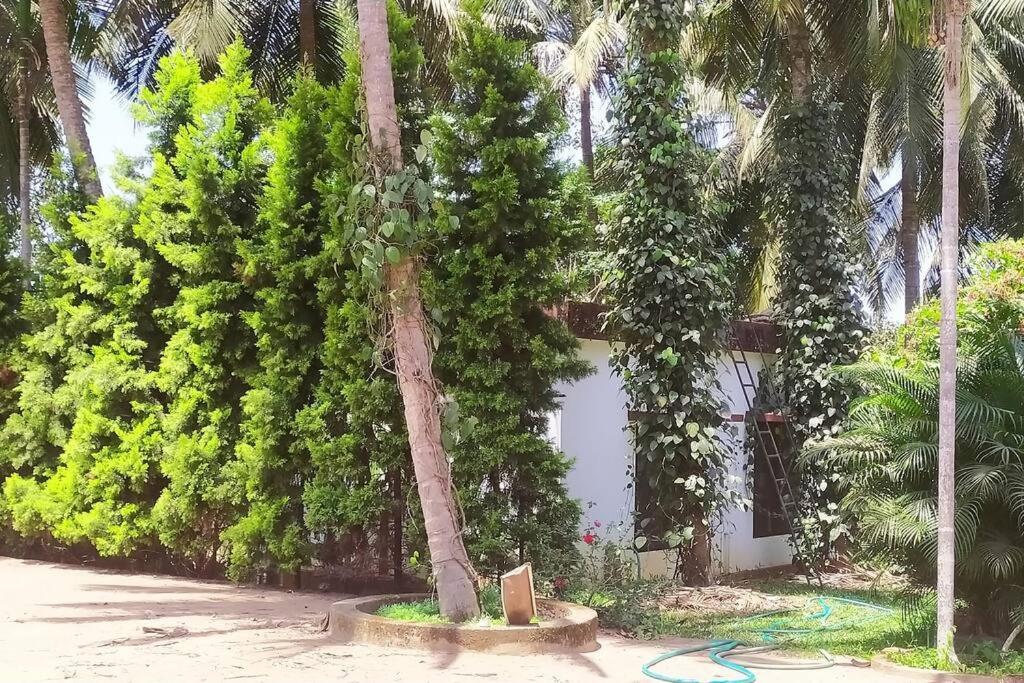 Runnin Airport - Homestay Gurpur Экстерьер фото