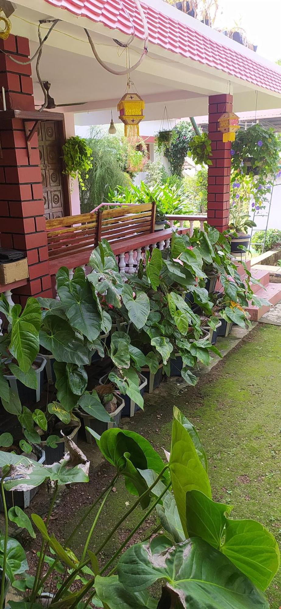 Runnin Airport - Homestay Gurpur Экстерьер фото